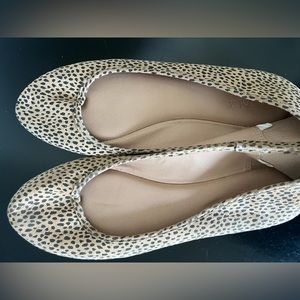 Universal Thread Flats